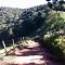 Caminho Da Fé, mata na serra de Luminosa para Campista.