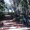 Divisa MG/SP. 18/11/2012.