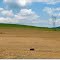 Brasil rural...