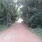 Parque Vicentina Aranha | São José dos Campos - SP