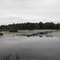 Alburg Mud Creek