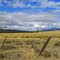 Prairie between Cle Elum and Ellensburg, Wa