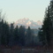 Mount Stuart