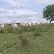 Cadastro de Compromisso Socioambiental - Fazenda Finalmente I - Cadastrada desde 2009