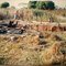 GARIMPO CAARAPÁ 1990 FOTO DE ELIAS