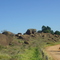 Estrada das pedras
