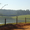 Gavião