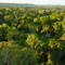 Cristalino Jungle Lodge (tower view)