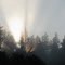 Sun Burst
