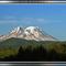 Mt. Rainier