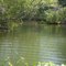 Maravilhas da natureza