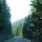 Washington - Parque Nac. Mt. RainierWashington - Parque Nac. Mt. Rainier