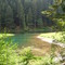 Greenwater Trail