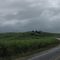 PE-060 Through Cane Fields