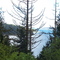 Discovery Bay