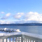 Discovery Bay Snowfall