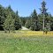 Larry Scott Trail - Port Townsend