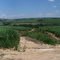 panoramic of sugarcane fields in rural countryside, northwest of Salto, SP, Brazil (3-12-2010)