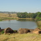 Pequeno lago