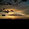 Por do Sol -Fazenda Jequitibá - Itu, SP - Brasil - CAM