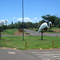Parque de Aguas Claras - 2 garças