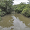 rio pirapitingui (caminho da onça)