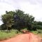 Estrada rural de acesso ao povoado Setor Agrícola, município de Governador Edson Lobão - MA. (Fevereiro/2010)