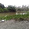 Beira de Rio