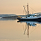 Genius of Roche Harbor, Washington