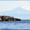 Blunden Island, with Mt Baker