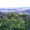 Vista da pedreira do bauzinho para fazenda Drummond. Foto: Eder Divino de Souza. TWITTER: @ederxtreme