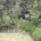 Cascata vista da Rodovia Cândido Portinari sentido Franca -  SP-334  - Km-386