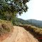 Caminho muito dificil!
