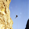 Tonka Wall