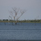 Ayrton Pesca - Rio Paraná - Represa Sérgio Motta MS
