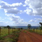 Mata Burro da entrada