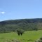 vista do campo