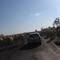 Boiada na estrada