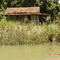 CASA DO PAU VEIO (ARCELINO)