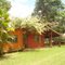 Casa antiga c/ primaveras
