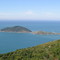 Ilha das Aranhas
