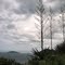 Centinelas de la tormenta.