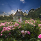  Bush's Pasture Park  gazebo