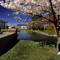 Willamette University Spring