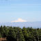 Mt Hood