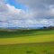 Farm lands West of Salem Near Oakgrove Oregon