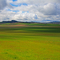 Sunlit Fields of Green Near Oakgrove Oregon