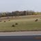 along highway 210 between henning and battle lake
