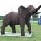 Lifesize elephant, Lawnmower Blades