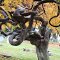 Unique tree - Hillcrest Cemetery - Harrington, WA